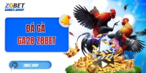 Đá gà Z8Bet