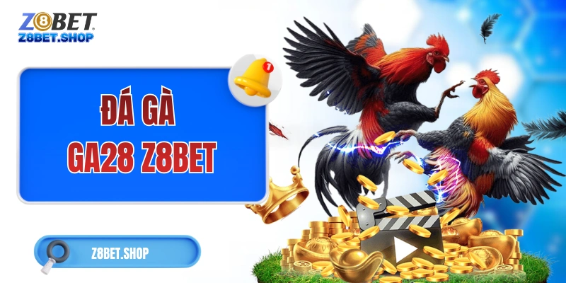 Đá gà Z8Bet – Cá Cược Chọi Kê Với 120+ Trận Mỗi Ngày