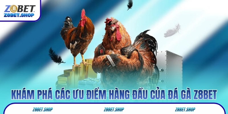 Khám phá các ưu điểm hàng đầu của đá gà Z8Bet