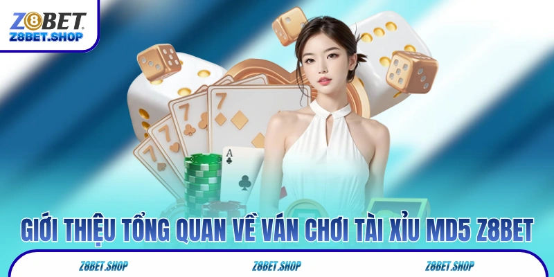 Giới thiệu tổng quan về ván chơi tài xỉu MD5 Z8Bet